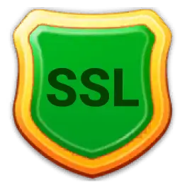 Security Icon